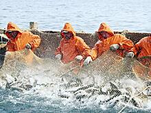 Валютоемким объектам промысла предрекают сокращение запасов