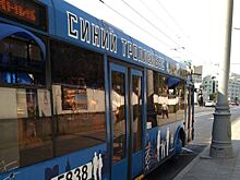 Зюзинцы снова посетили концерт Ирины Левинзон