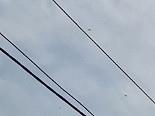 Над Можгинским районом пролетели самолёты Военно-воздушных сил России