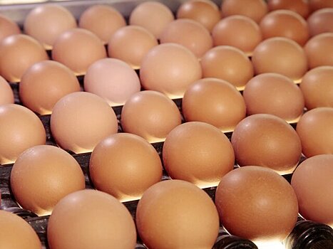 Нутрициолог назвала способ приготовления яиц для людей с заболеваниями ЖКТ