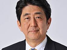 Японист рассказал, какое наказание грозит убийце Синдзо Абэ