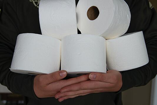 Почему в кафе нельзя бросать туалетную бумагу в унитаз
