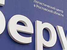 Ростовчане, находясь в режиме самоизоляции, успешно осваивают онлайн-покупки