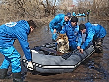 Как Гуманитарный добровольческий корпус боролся с паводком в Кургане