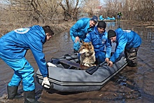 Как Гуманитарный добровольческий корпус боролся с паводком в Кургане