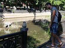 Вице-мэра Симферополя уволили за мусорный коллапс