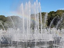 Скрипичный концерт пройдет в «Царицыно»