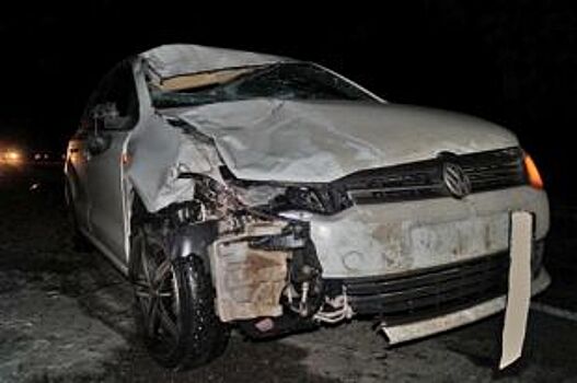 Под колёсами Volkswagen Polo в Тамбовской области погиб пешеход