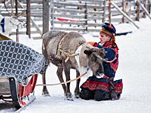 В Мурманской области представителю народа саамов запретили охотиться из-за того, что он живет в городе