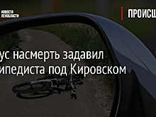 Автобус насмерть задавил велосипедиста под Кировском