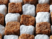 Как в Белгородской области зародилось сахарное производство и как происходит процесс изготовления сахара?