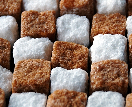 Как в Белгородской области зародилось сахарное производство и как происходит процесс изготовления сахара?