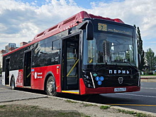 Перевозчики пожаловались на «антисанкционные» автобусы ЛиАЗ