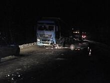 Молодой водитель иномарки погиб в столкновении с грузовиком на Южном Урале