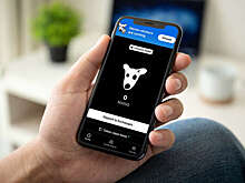 InsideBitcoins: курс токена DOGS упал ниже цены листинга на биржах