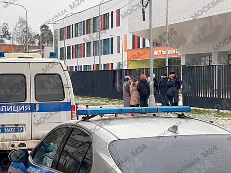 Тело погибшего в одинцовской школе мальчика отправили на родину