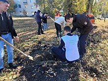 На улице Куйбышева в Пензе посадили 40 лип