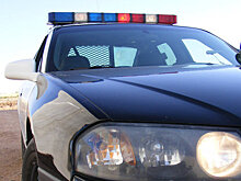 В США водитель въехал в толпу зрителей на автошоу