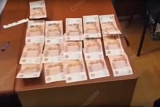 Водителю вынесли приговор за попытку откупиться от тюрьмы