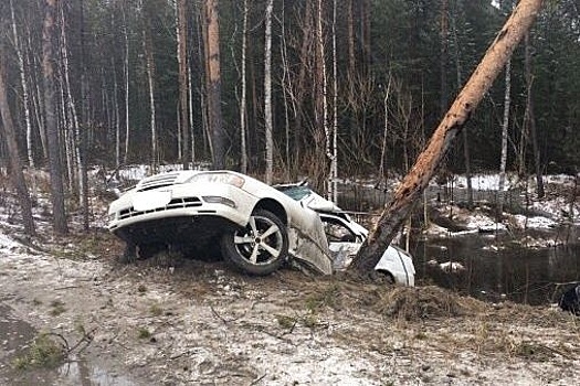 Югорчанин на Toyota протаранил дерево и погубил пассажира