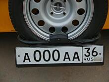 Глава департамента МЭР Злобин заявил, что «красивый» автономер через Госуслуги будет стоить до 6 млн руб.