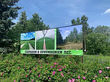 Нижегородские депутаты изучили в Семенове процесс восстановления лесов
