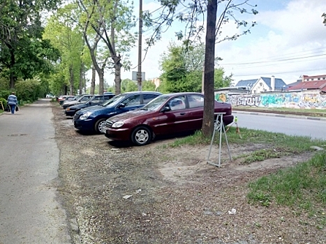 Панов поставил задачу усилить работу по ликвидации парковок на газонах
