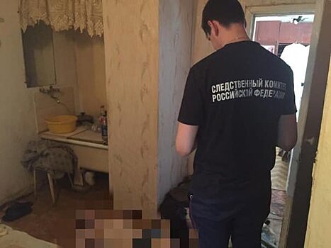 Следователи проводят проверку после падения мужчины при полете на параплане в Ленобласти