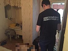 Следователи проводят проверку после падения мужчины при полете на параплане в Ленобласти