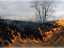 Жители Ростовской области оказались оккупированы пожаром вблизи Волгодонска