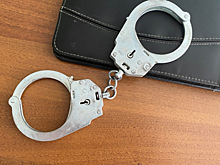 В Курске двух молодых людей подозревают в серийных угонах авто