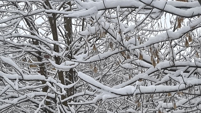 Синоптики сообщили о возвращении снега в города Челябинской области