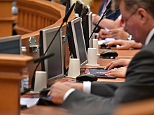 Мособлдума утвердила правовой статус уполномоченного по правам ребенка в Подмосковье