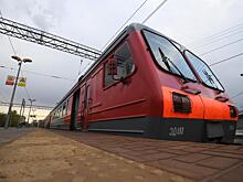 Подростки из Подмосковья с ножом и молотком напали на пассажиров электрички