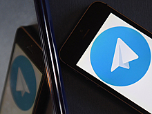 Ущерб издательств от пиратских книг в Telegram оценили в 55 млрд рублей