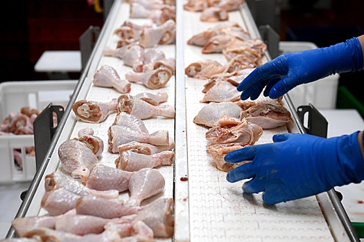 В России могут ввести пошлину на экспорт кур