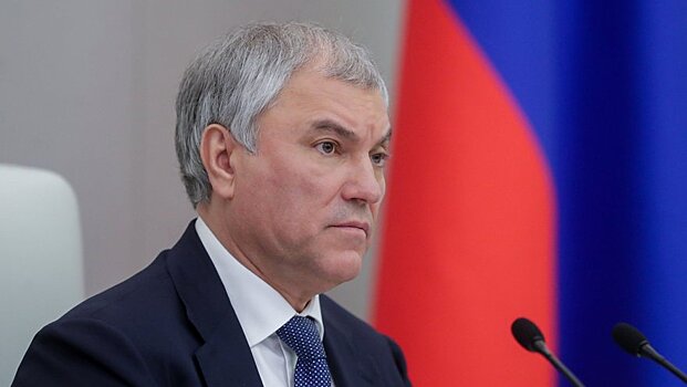 Госдума приняла обращение к Бундестагу после обнародования записи немецких офицеров
