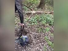 В Ростовской области сотрудники ГИБДД задержали граждан, подозреваемых в незаконном производстве и сбыте наркотиков