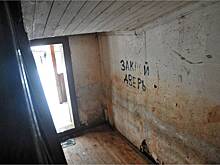 В российском городе обнаружили «подъезд ужасов»