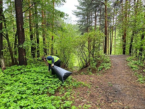 «Работать не дают, но зато ЖКХ из дома оплатить могу». Тренер «Махачкалы» – о коронавирусе