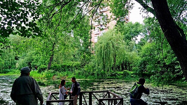 Уголок вечного лета: Ботанический сад Тбилиси манит туристов