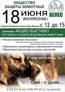 В Вологде в воскресенье пройдет выставка бездомных животных