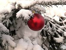 В Лабытнанги выберут самый красивый новогодний двор