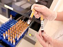 СМИ: Ученые из США нашли доказательства искусственного происхождения COVID-19