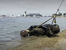 В российском городе со дна Японского моря достали русалку