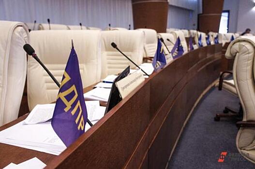 В кировском ЛДПР возмущены новостями о «наборе депутатов по объявлению»
