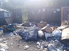 В Струнино Владимирской области царит мусорный беспредел