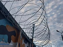 В Пензенской области отыскали 239 человек, скрывавшихся от наказания