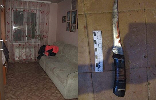 В тюменском селе молодой человек зарезал свою сожительницу