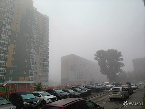 Задержка авиарейсов и опасность на дорогах: туман окутал Кемерово
